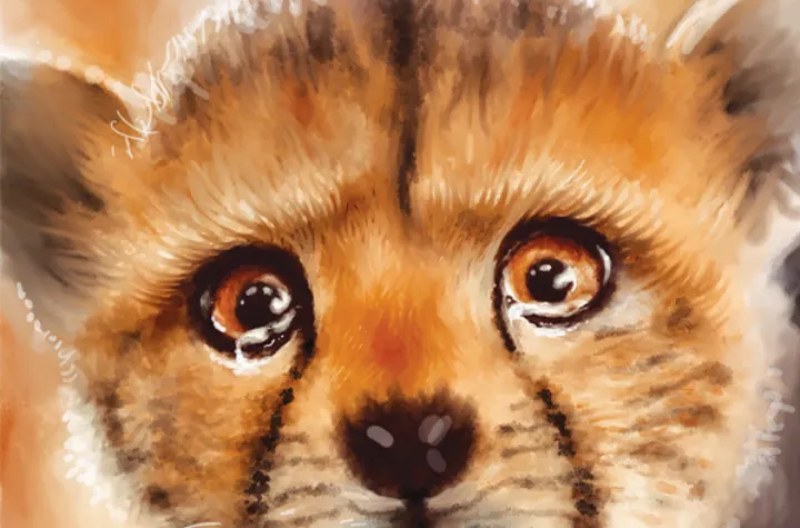 برای پیروز و  اشک‌های یک ملت